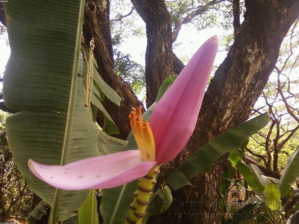 ការរៀបចំសំរាប់ការប្រកួតស្លត