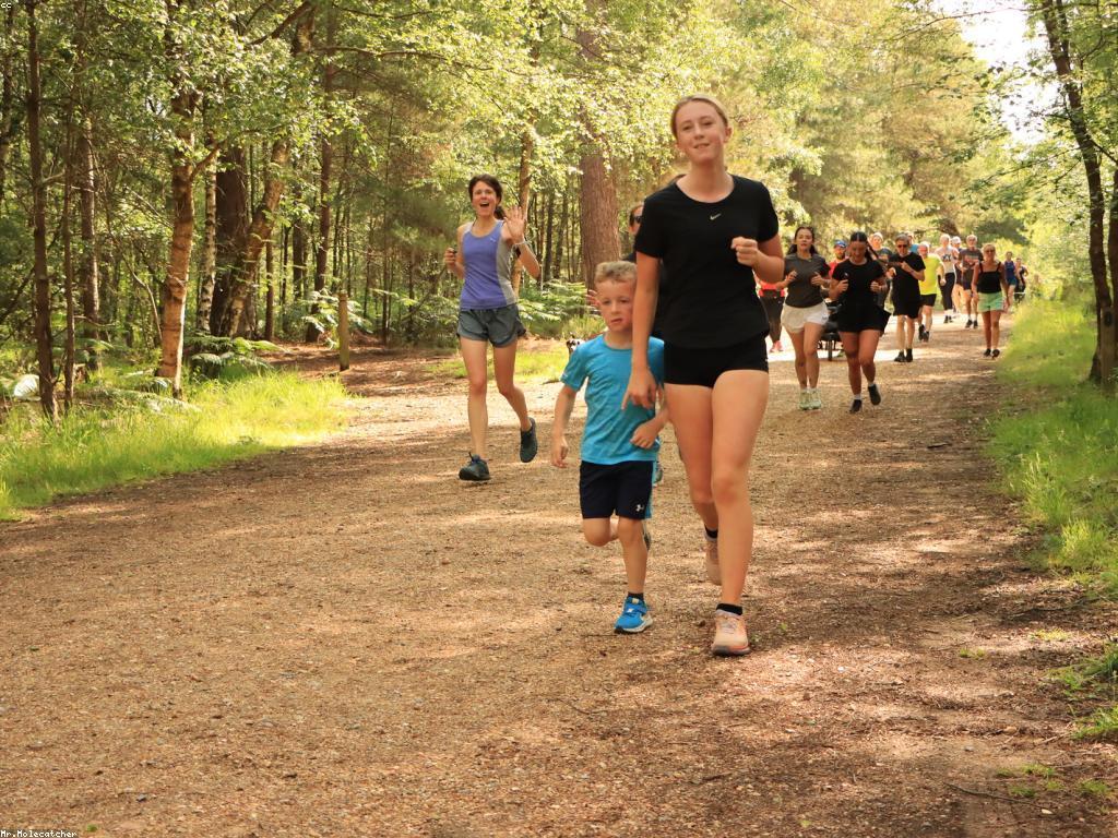 ការប្រកួតស្លត: ព័ត៌មាន និងវិធីសាស្ត្រដើម្បីឈ្នះ