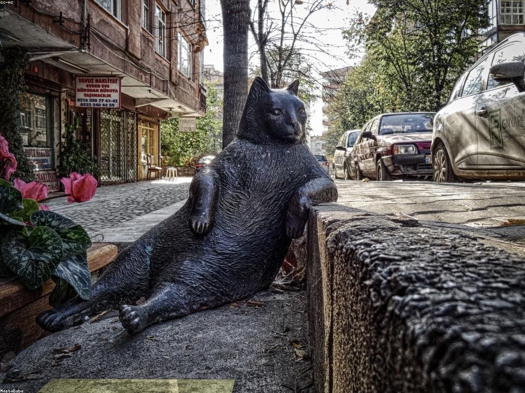 ការបណ្ដុះបណ្ដាល: វិធីសាស្ត្រដើម្បីបង្កើនសមត្ថភាព