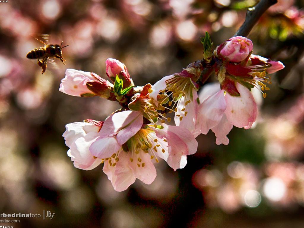 យុទ្ធសាស្ត្រសម្រាប់សម្រេចបានជោគជ័យក្នុងការប្រកួតស្លត